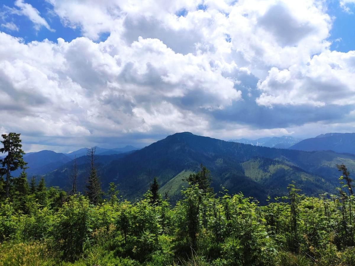 Western Tatras Slovakia Oravsky Biely Potok Екстериор снимка